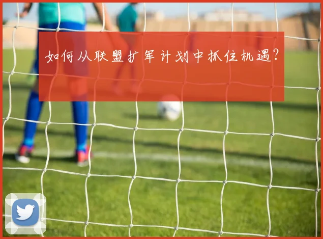 如何从联盟扩军计划中抓住机遇？