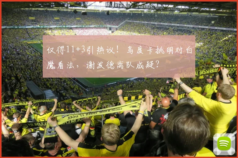 仅得11+3引热议！乌度卡挑明对白魔看法，谢泼德离队成疑？
