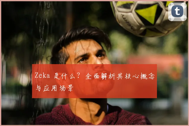 Zeka 是什么？全面解析其核心概念与应用场景