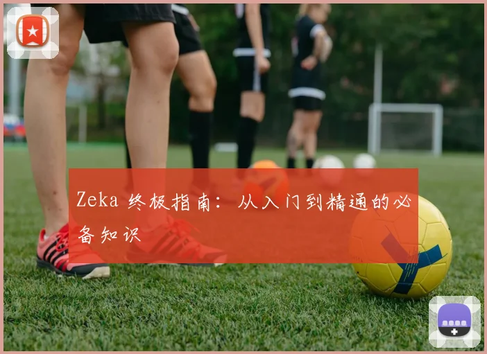 Zeka 终极指南：从入门到精通的必备知识