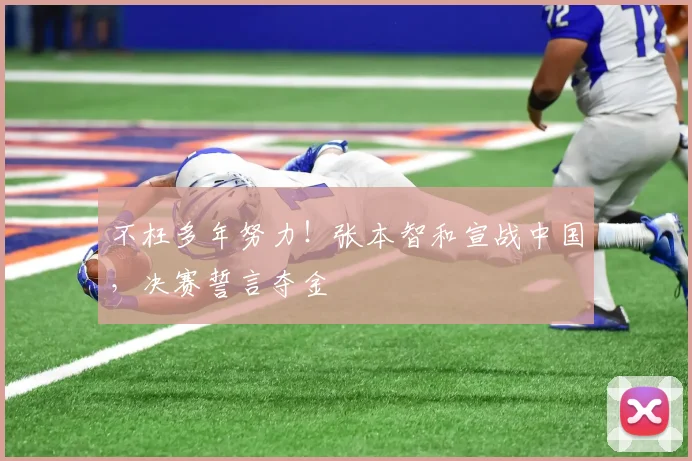 不枉多年努力！张本智和宣战中国，决赛誓言夺金